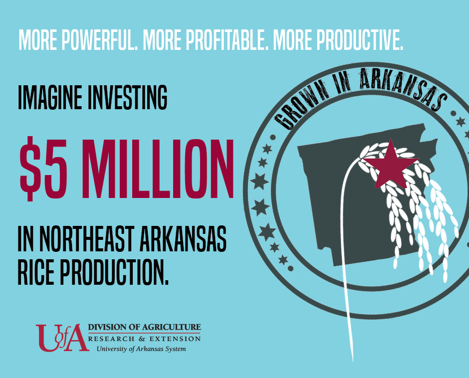 Graphic of rice plant in front of Arkansas outline, with text: More powerful. More profitable. More productive. Imagine investing $5 million in northeast Arkansas rice production.