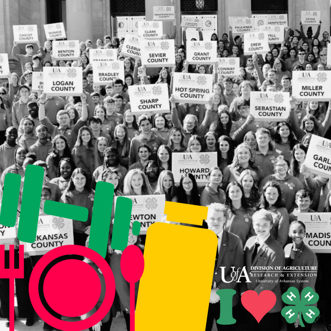 I heart 4-H healthy living I heart 4-H healthy living