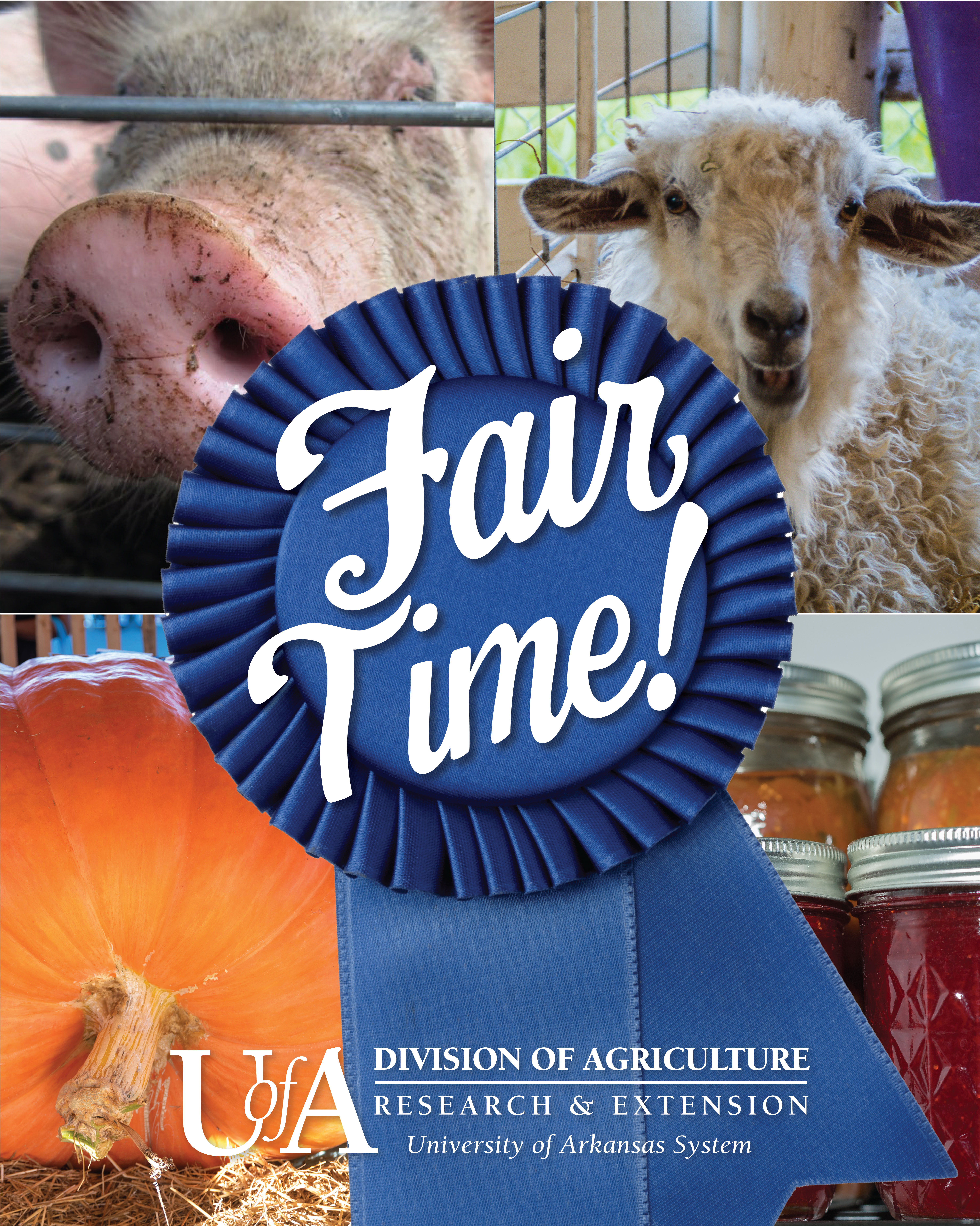 fair time!