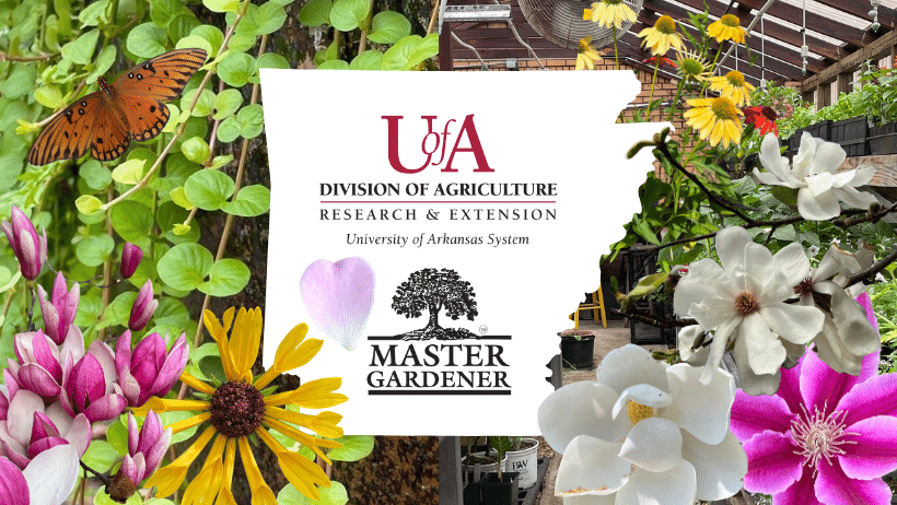 collage of Arkansas plants with overlay of Arkansas with Master Gardener and UADA logos