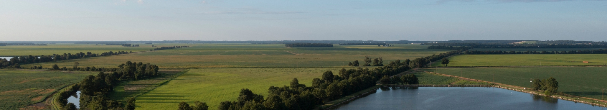 U of A Division of Agriculture Research & Extension