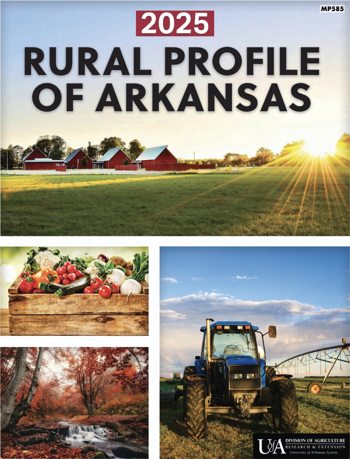 2025 Rural Profile Cover featuring rural scenes