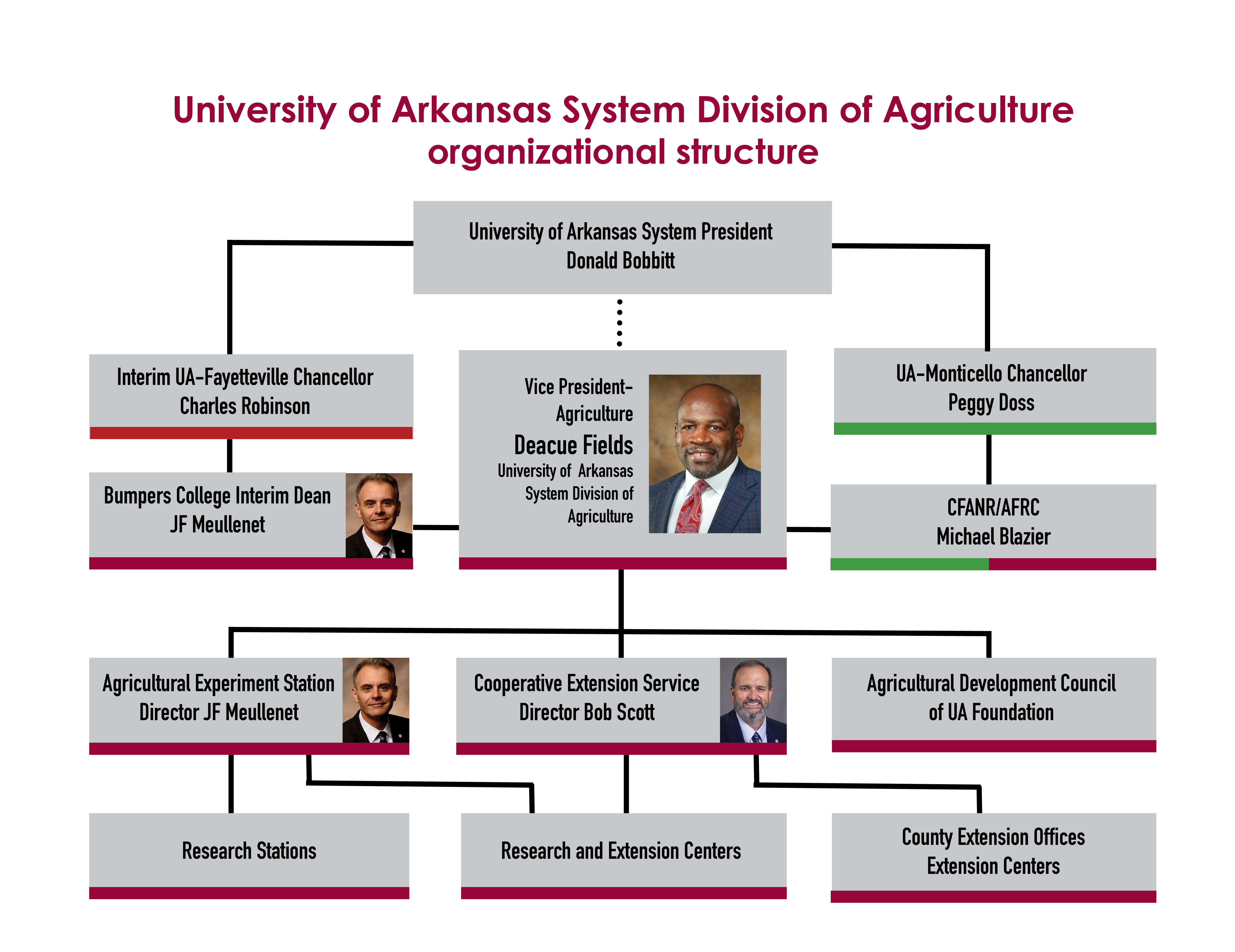 Organizational chart of the U of A System Division of Agriculture, showing the connections between the division, the system, the Arkansas Agricultural Experiment Station and the Cooperative Extension Service.
