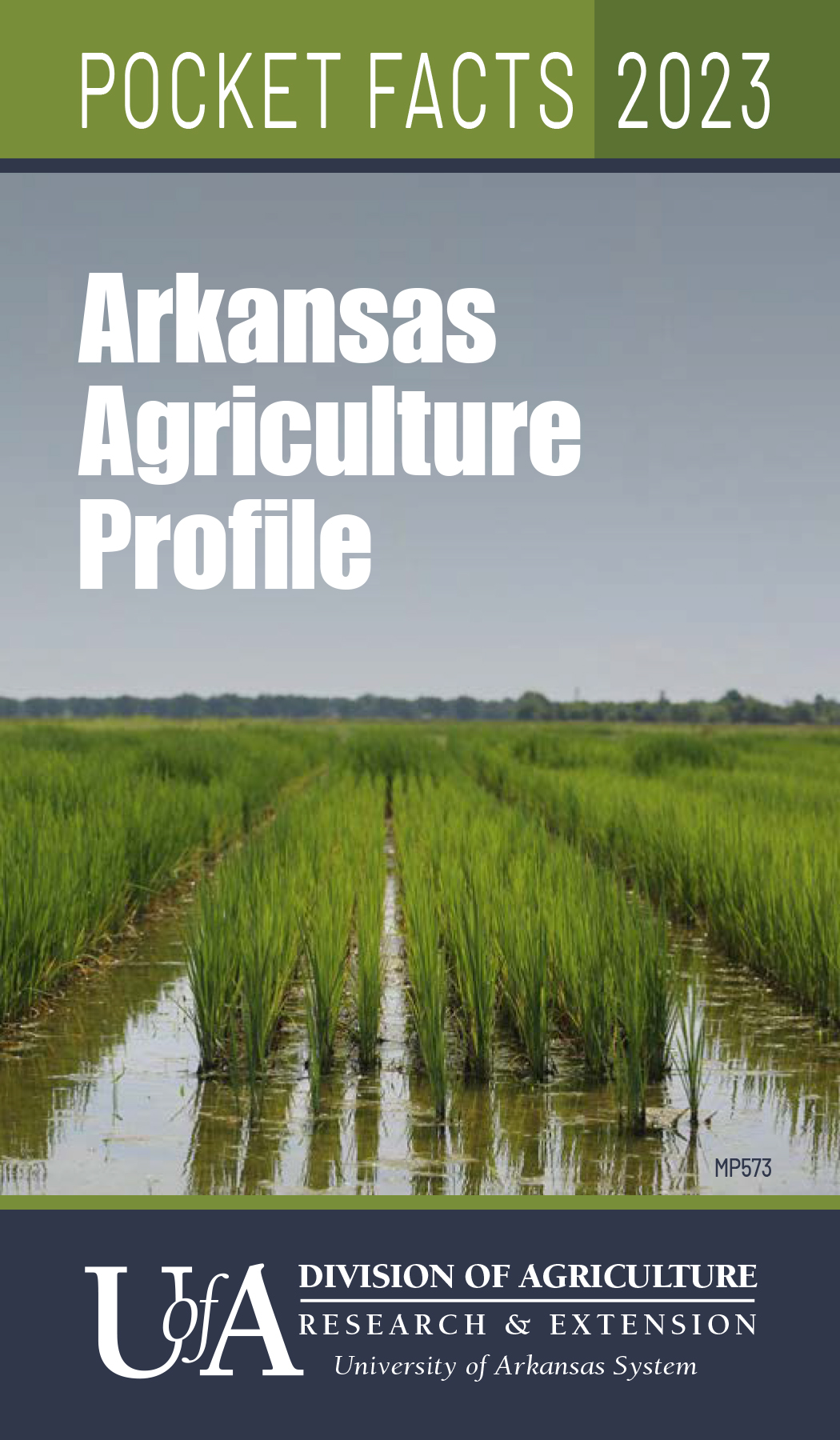 2022 Arkansas Agriculture Profile cover showing a flooded rice field