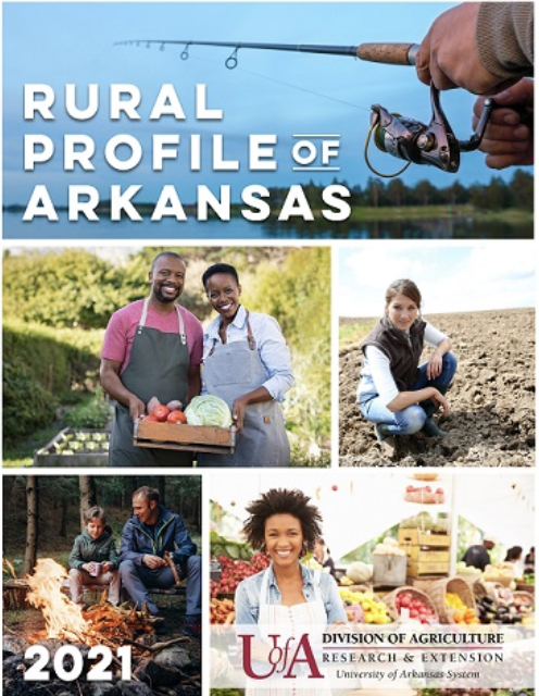 2021 rural profile cover